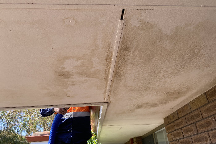 Under house eaves showing heavily stained boards, resulting from gutters overflowing due to detritus blocking gutter