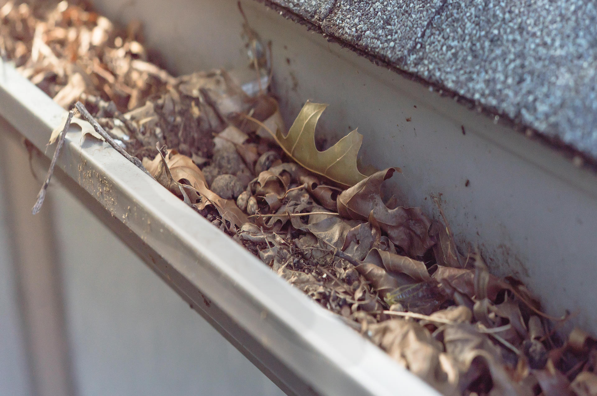 Gutter cleaning service for Boyanup and Argyle